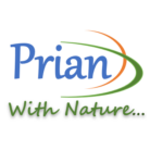 Prian Energy Logo